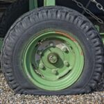 antranias-tire-4032439_1920